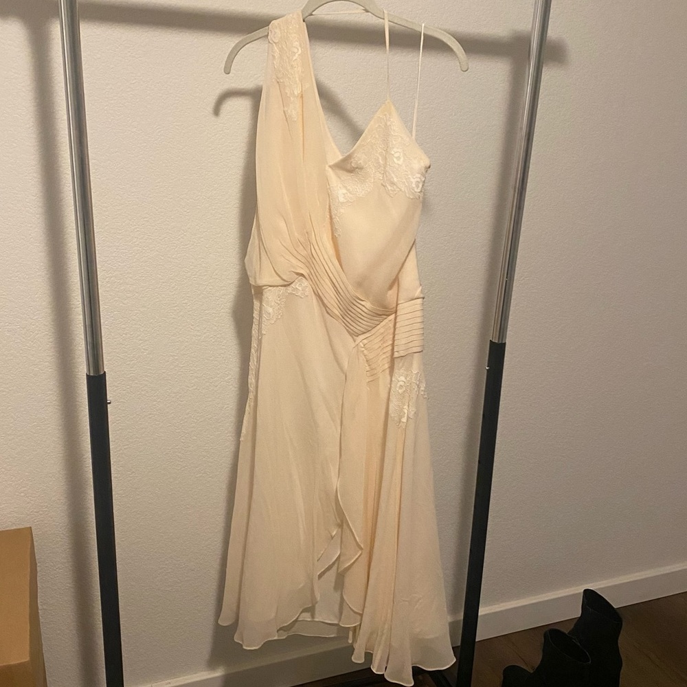 Haute Hippie Dress